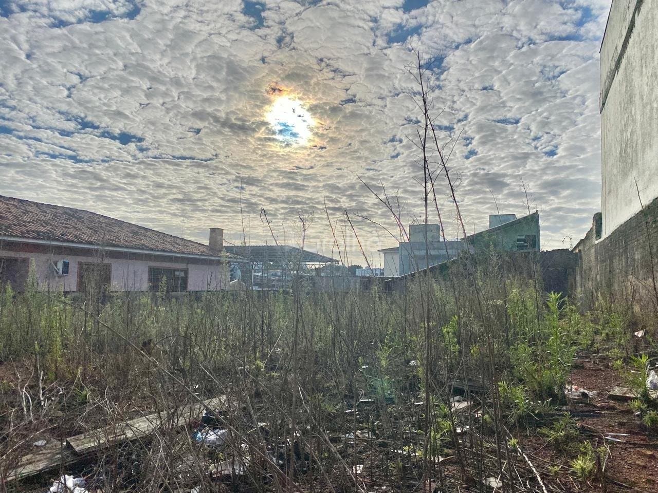 Foto do anúncio número 3