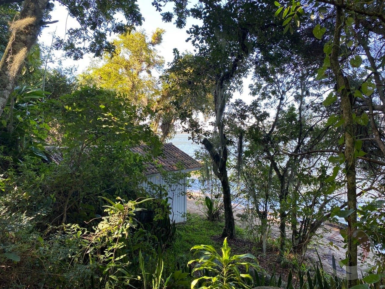Imagem do anúncio 4