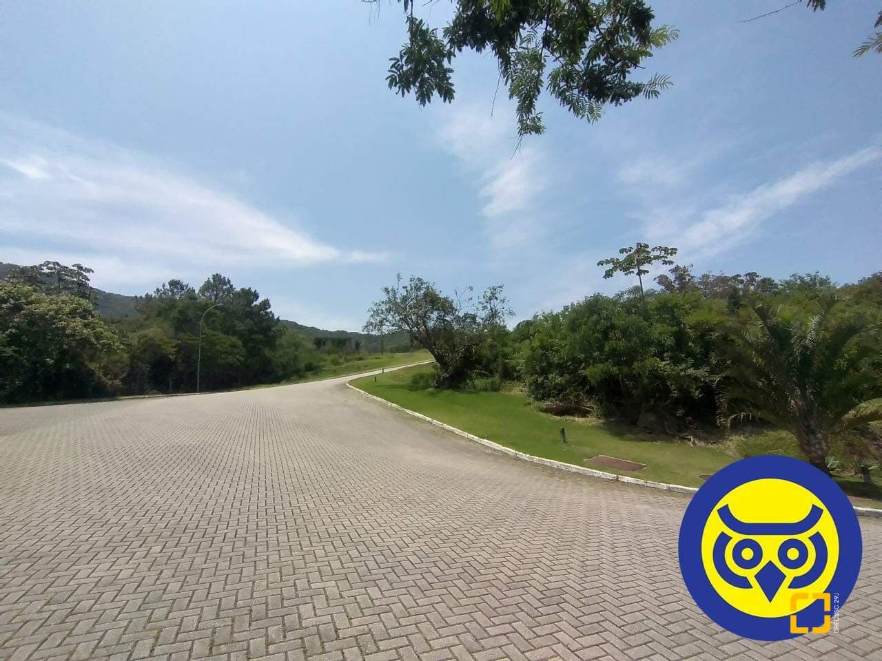 Foto do anúncio número 4