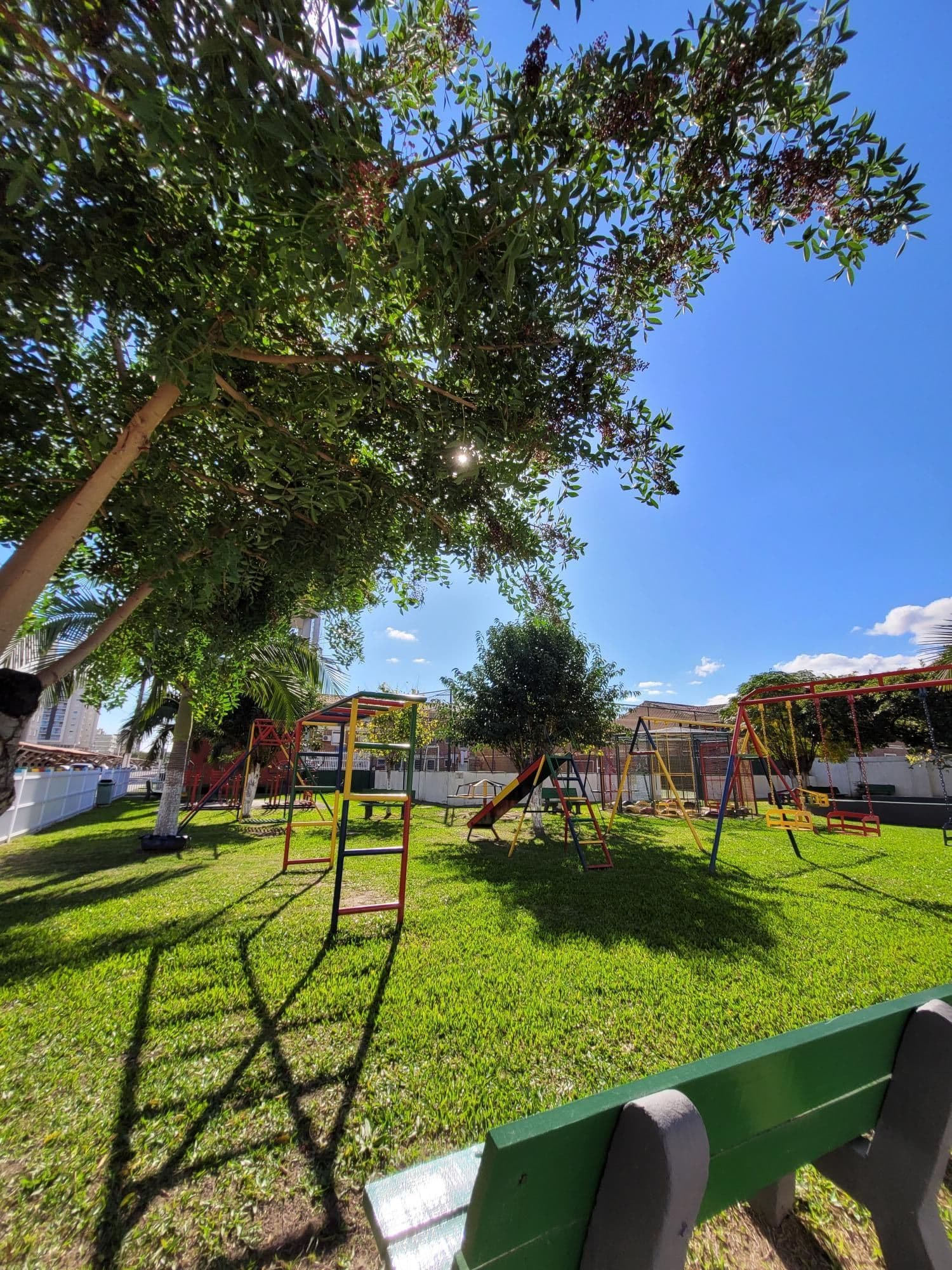 mfpjgl-img-51409605
