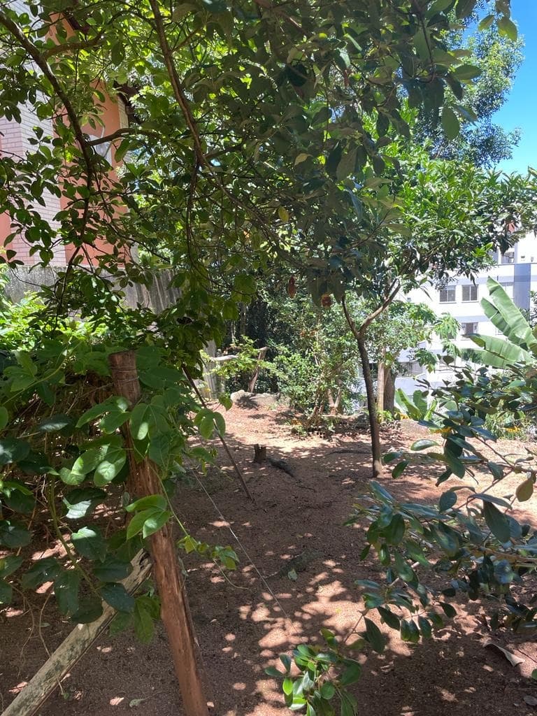Imagem do anúncio 6