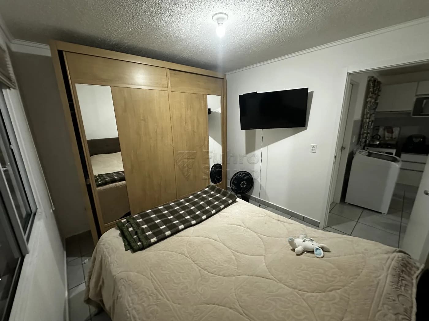 muzi5z-quarto-2.webp