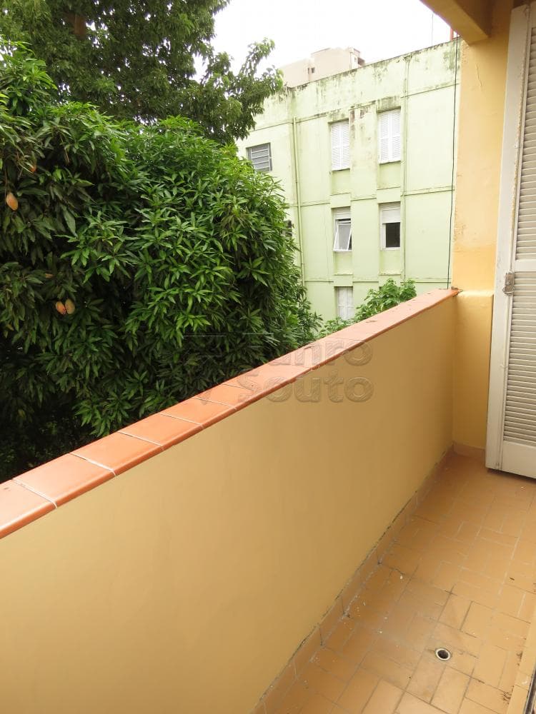 n5ikr8-sacada.jpg