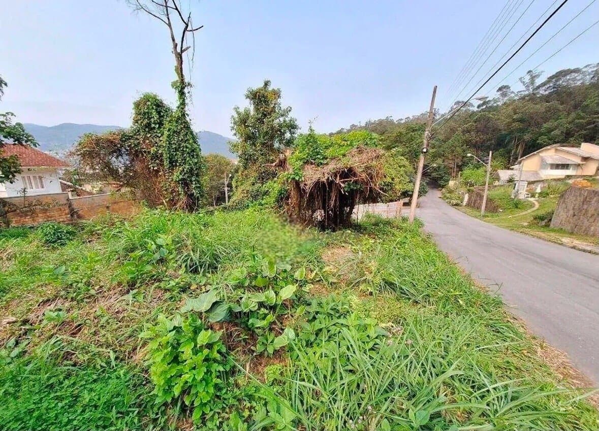 Foto do anúncio número 4