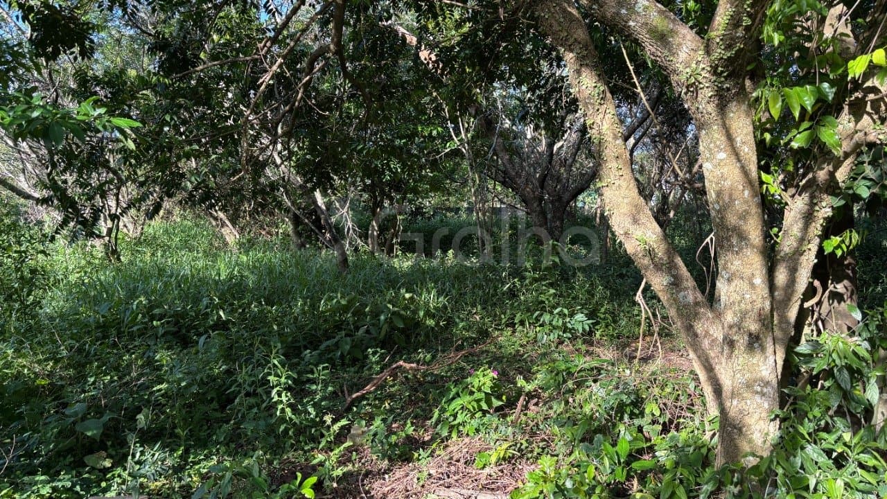 Imagem do anúncio 3