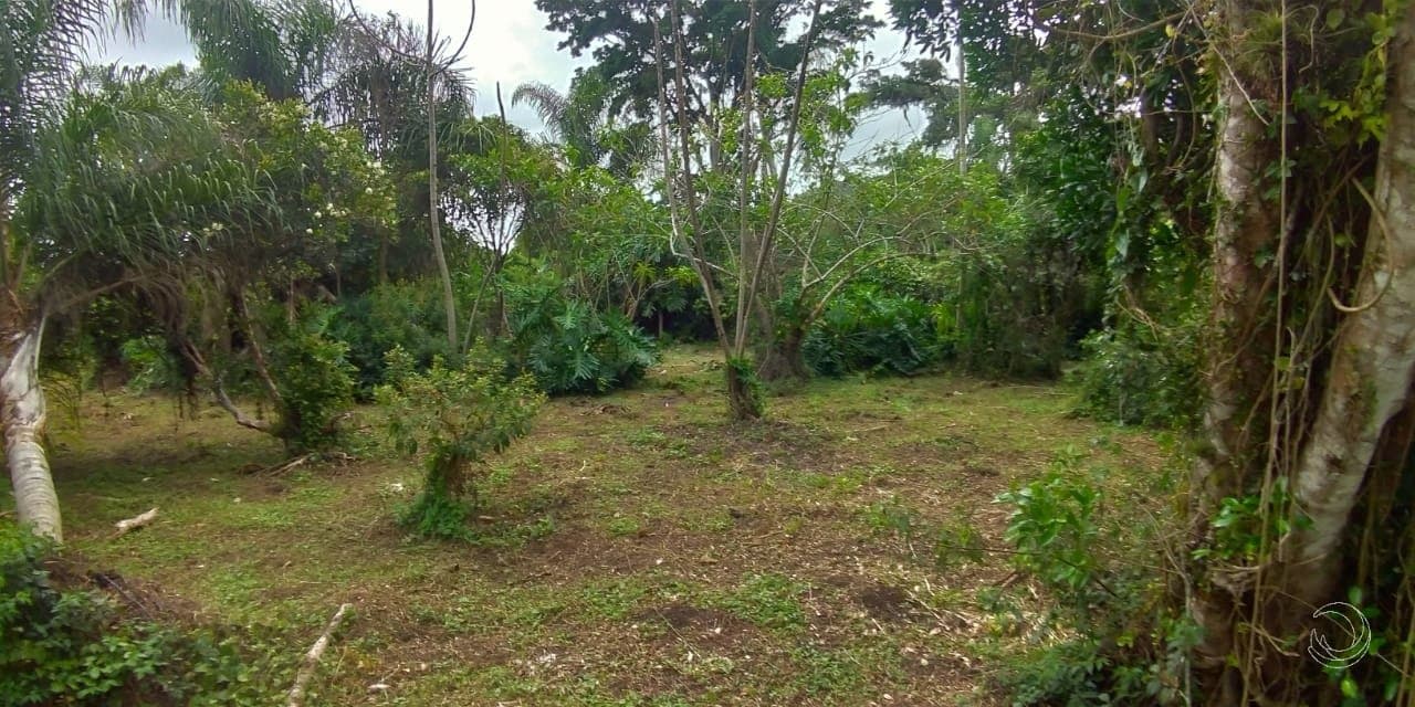 Imagem do anúncio 5