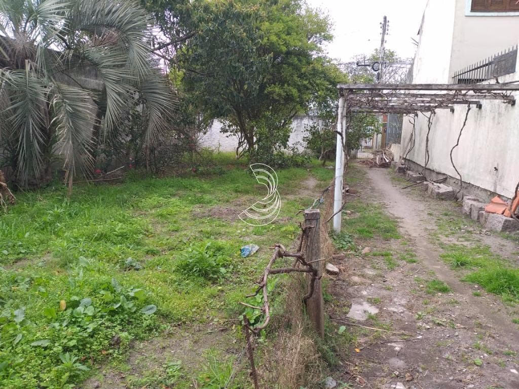 Foto do anúncio número 2