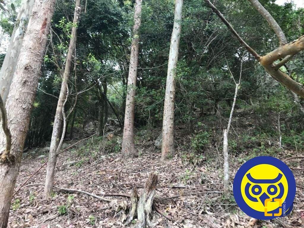 Imagem do anúncio 4