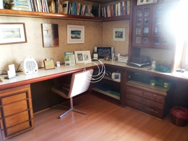 of2zjm-MD_igralhaim11170_1955867.jpg