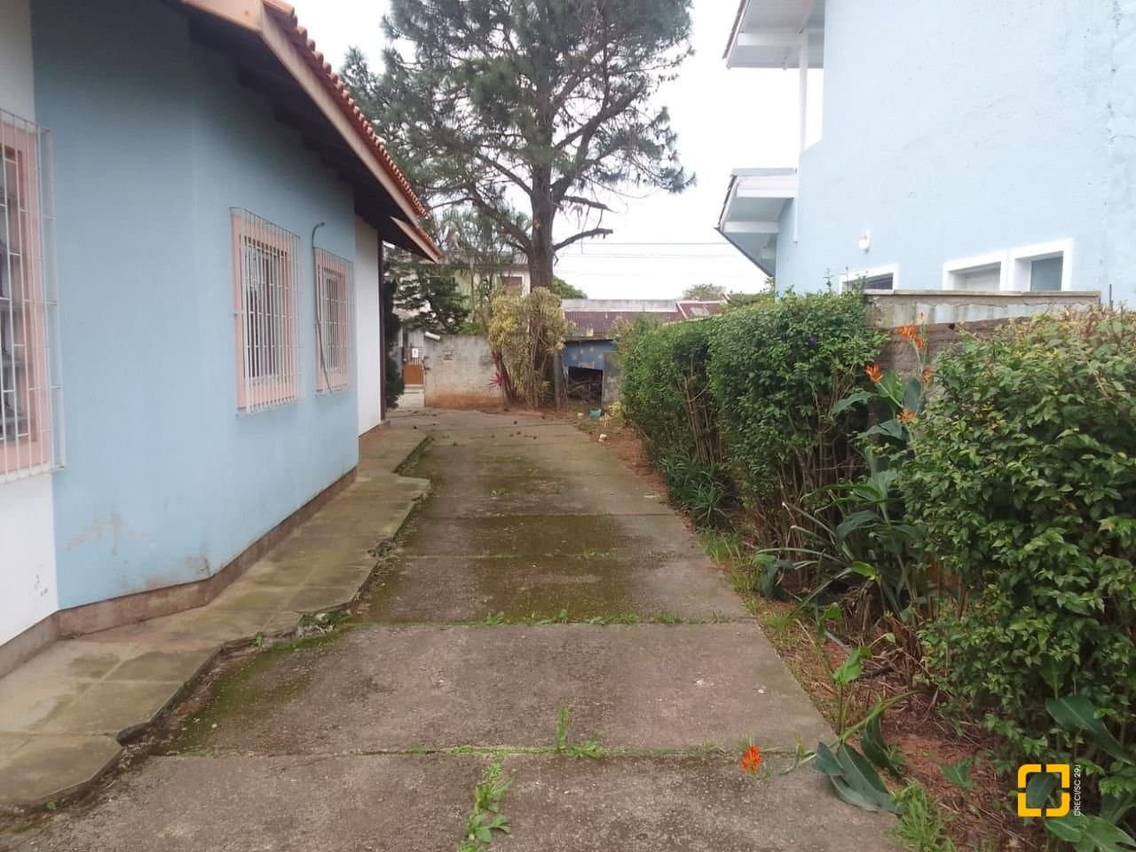opj1b7-iLq224O58V7K8_5722968e81414b0889.jpg