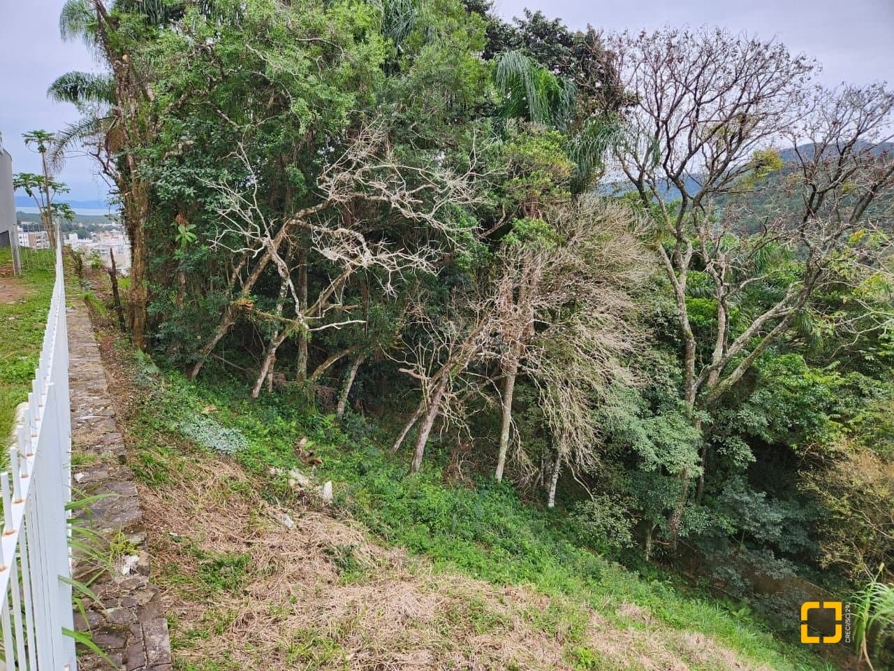 Imagem do anúncio 4