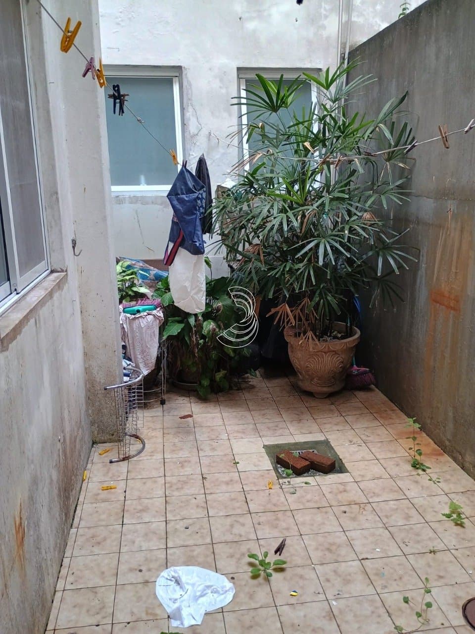 p8e-iZ7kR5Sg2aM278_1889969c053cc90cf0.jpg