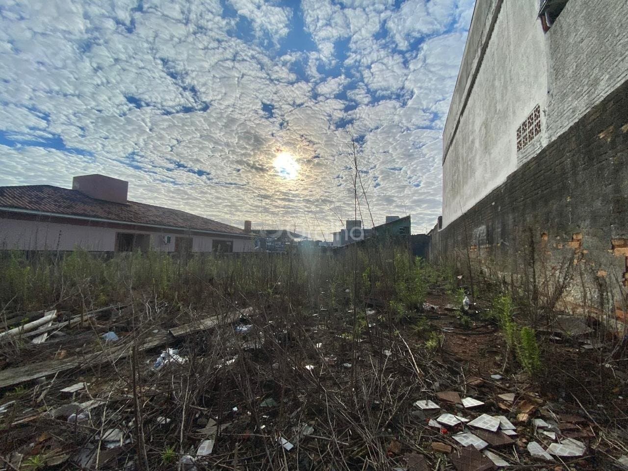 Foto do anúncio número 2