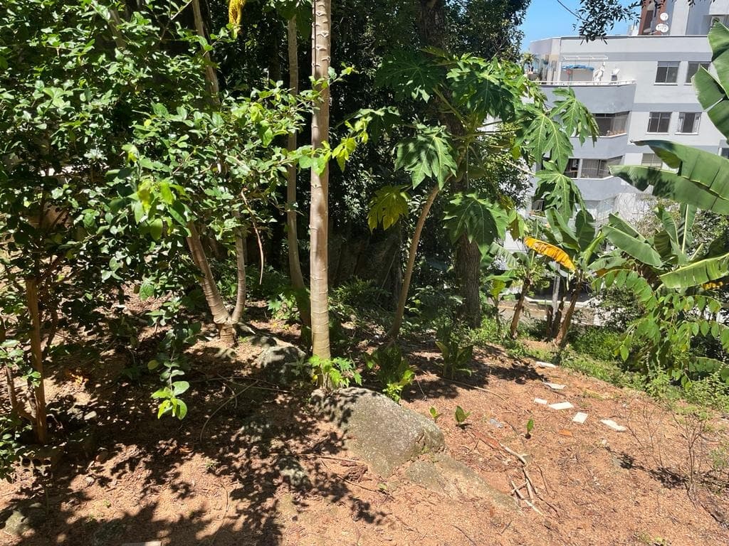 Imagem do anúncio 3