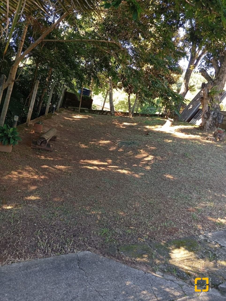 Foto do anúncio número 4