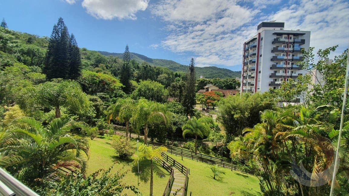 phnpi8-i8bV246_2337161b0fb4270216.jpg