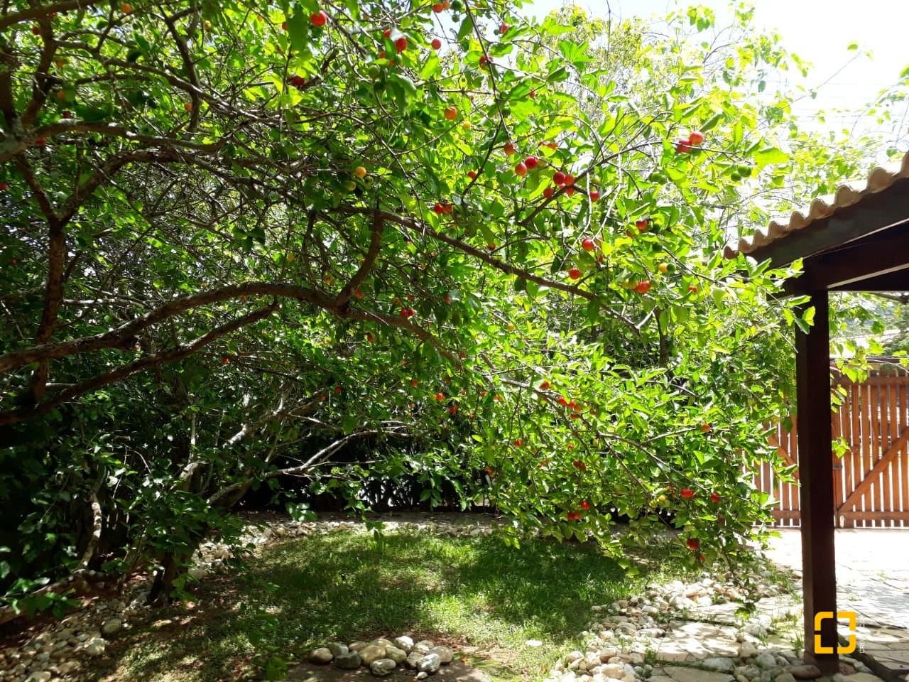 pkdjg4-i7GjH_596006a03688469cd8.jpg