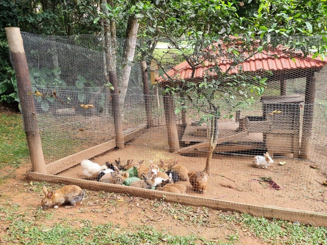 Imagem do anúncio 6