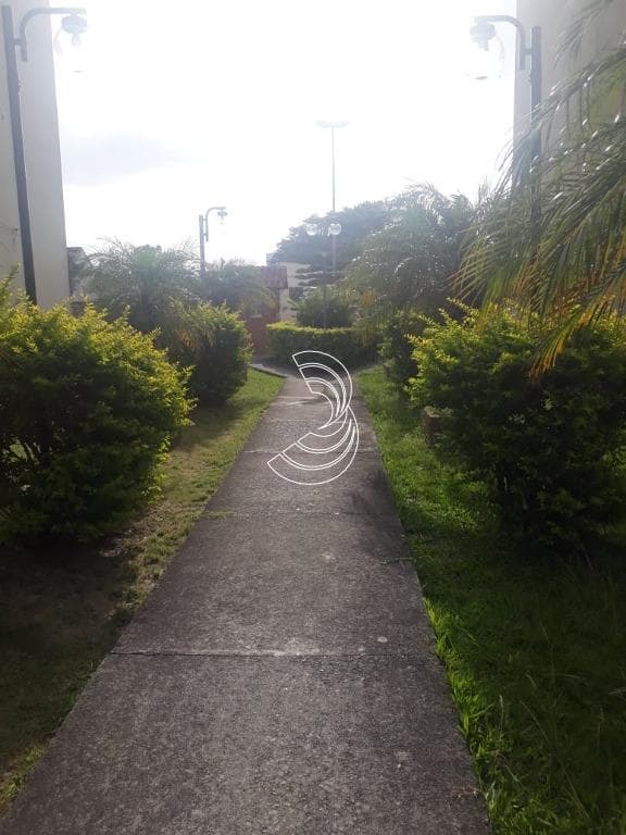 Foto do anúncio número 2