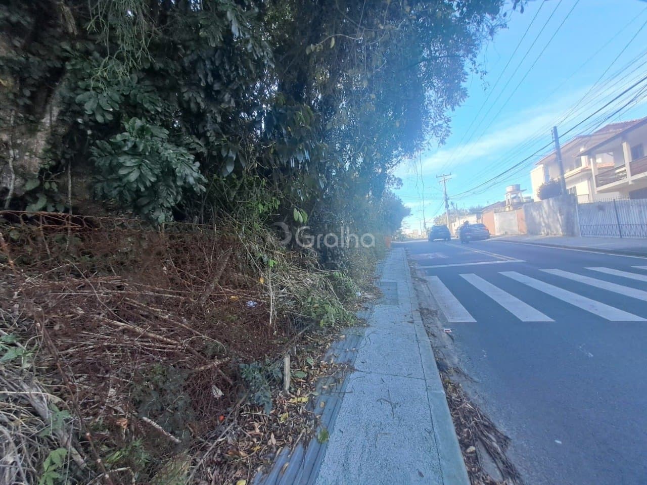 Imagem do anúncio 1