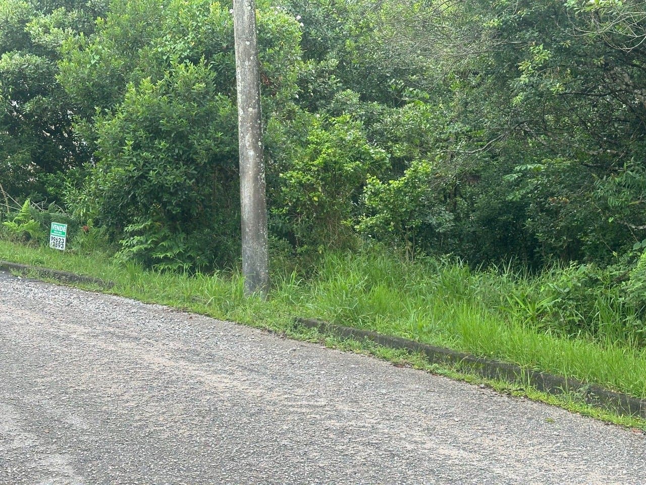 Foto do anúncio número 4