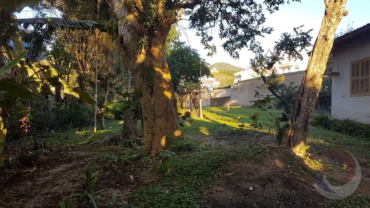 Foto do anúncio número 4