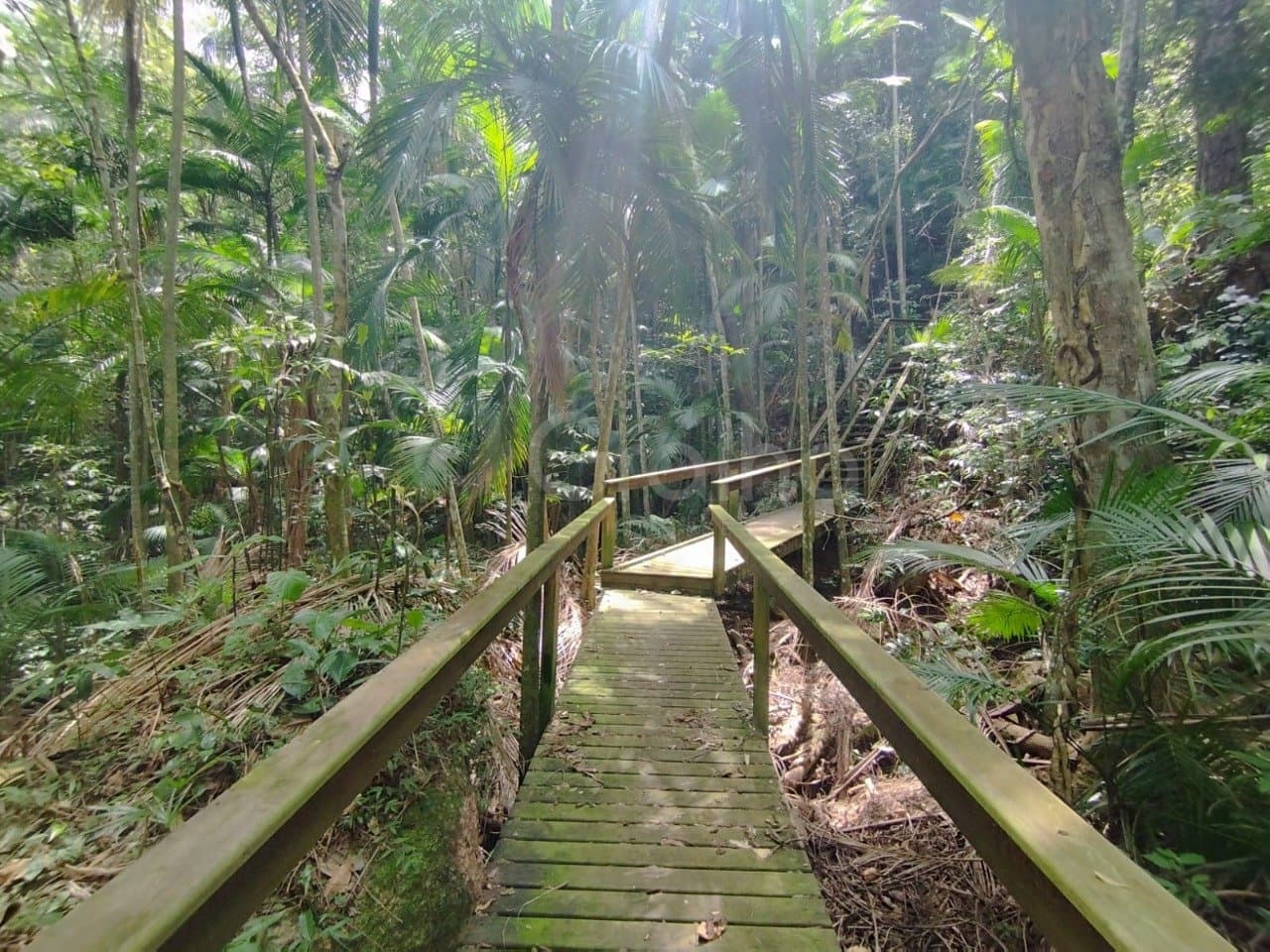 Imagem do anúncio 3
