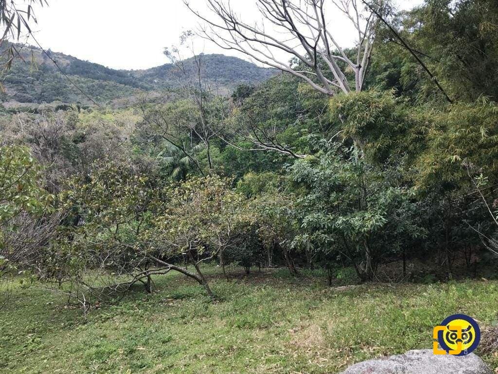 rgwu5d-iu3p1r_555466845e90d57cbc.jpg