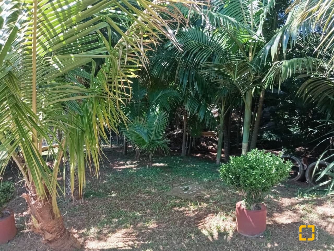 Foto do anúncio número 3