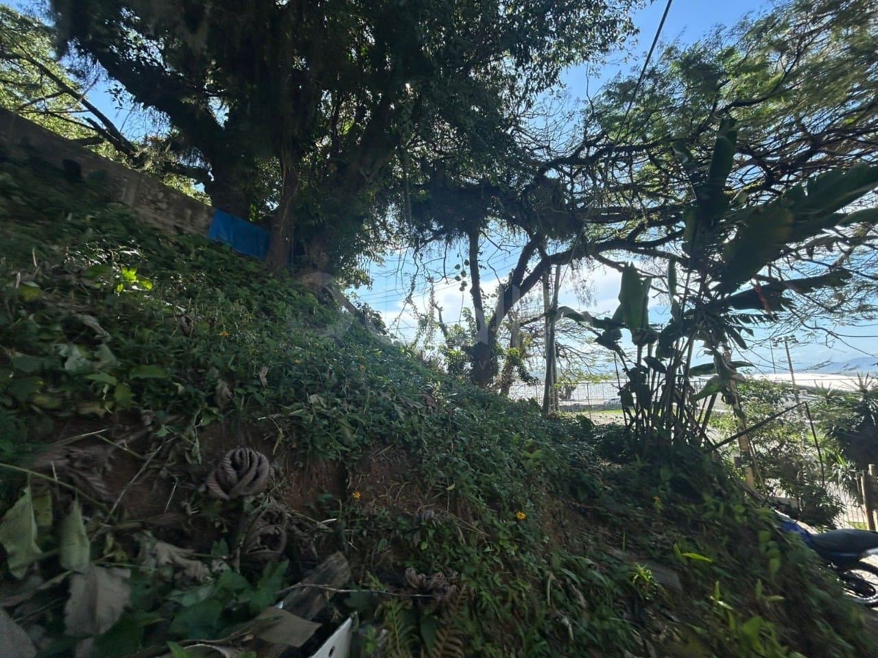 Imagem do anúncio 4