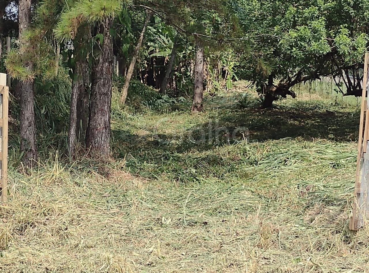 Imagem do anúncio 5
