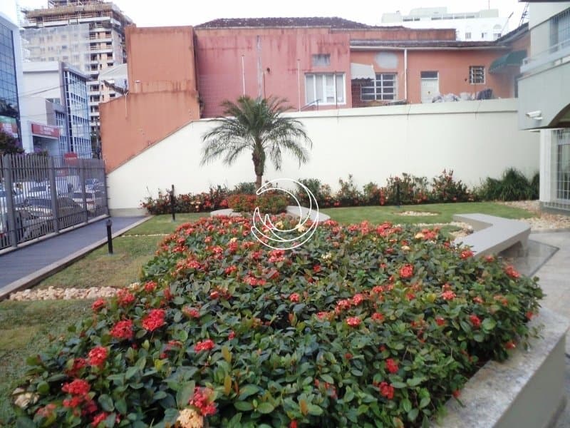 s4vppp-MD_igralhaim11170_6812515.jpg