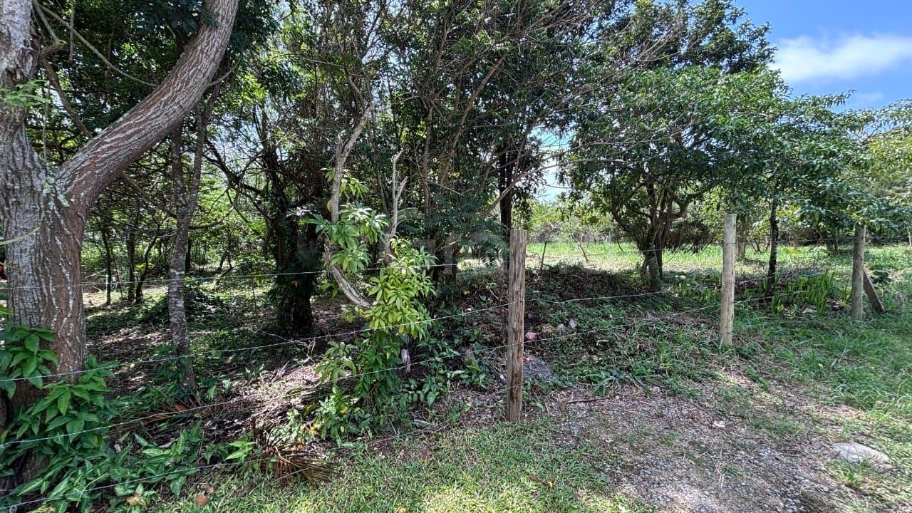 Imagem do anúncio 6