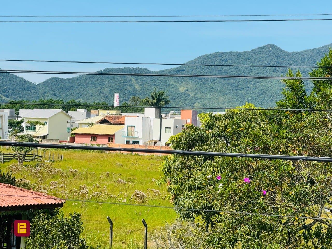 Foto do anúncio número 5