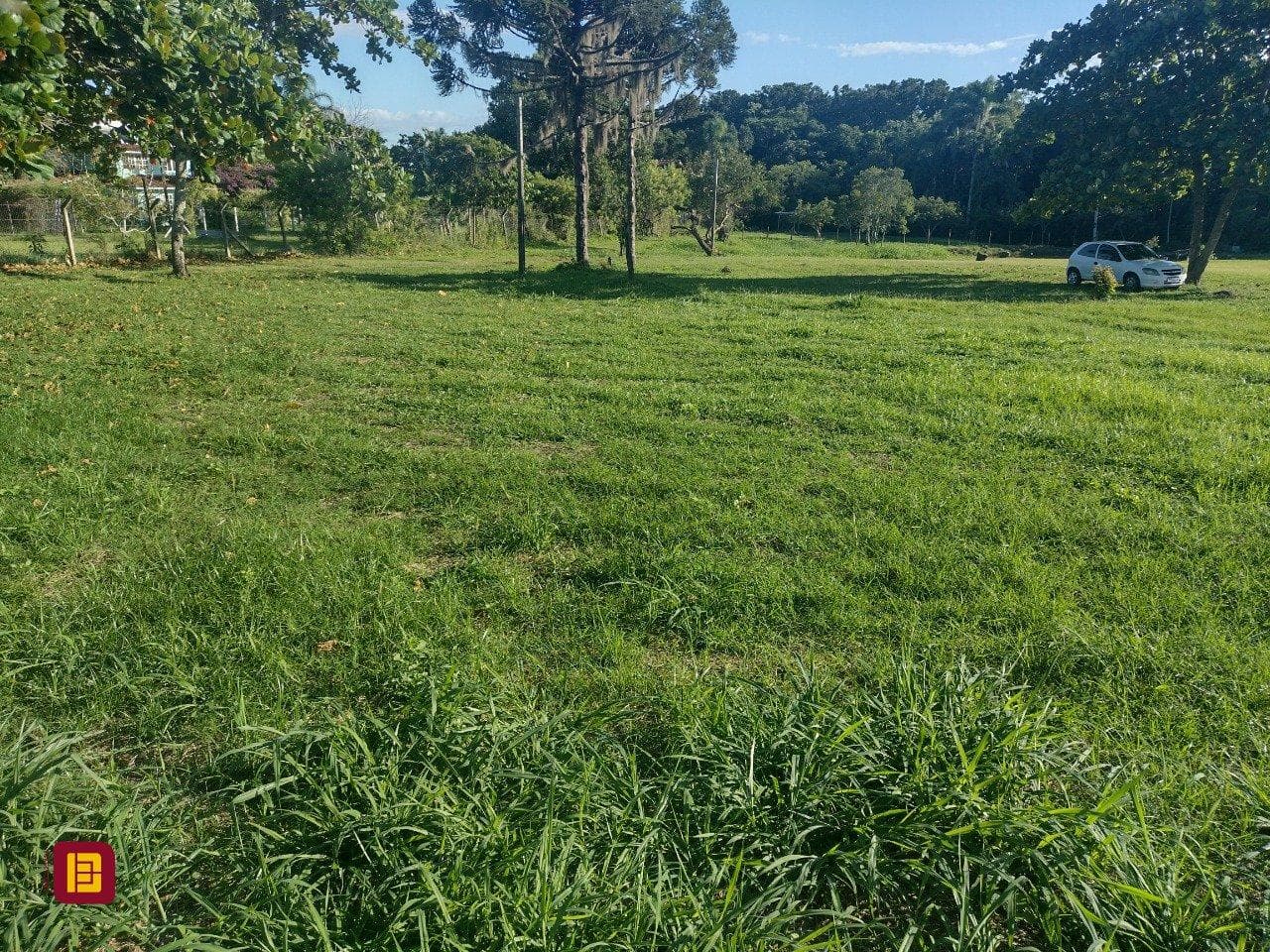 Foto do anúncio número 3