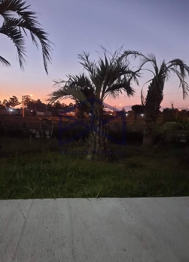 tdlbi-202601241801186223-jpeg.jpeg