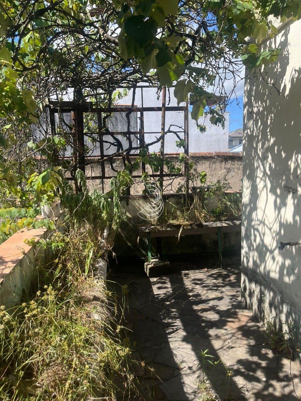 Foto do anúncio número 5