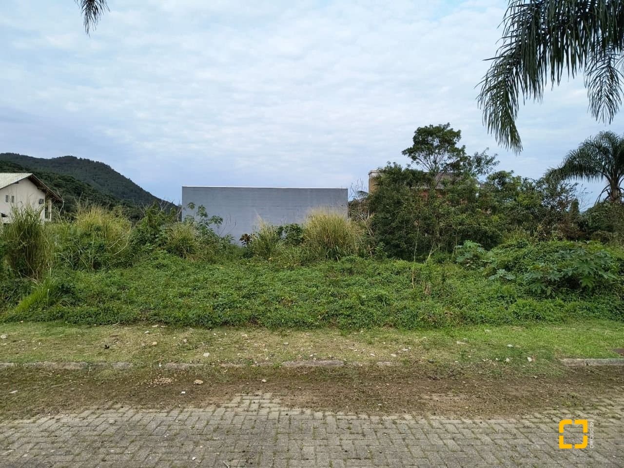 tj9rpo-iNoE8x6kpj89DP_57505690e096ff26a2.jpg