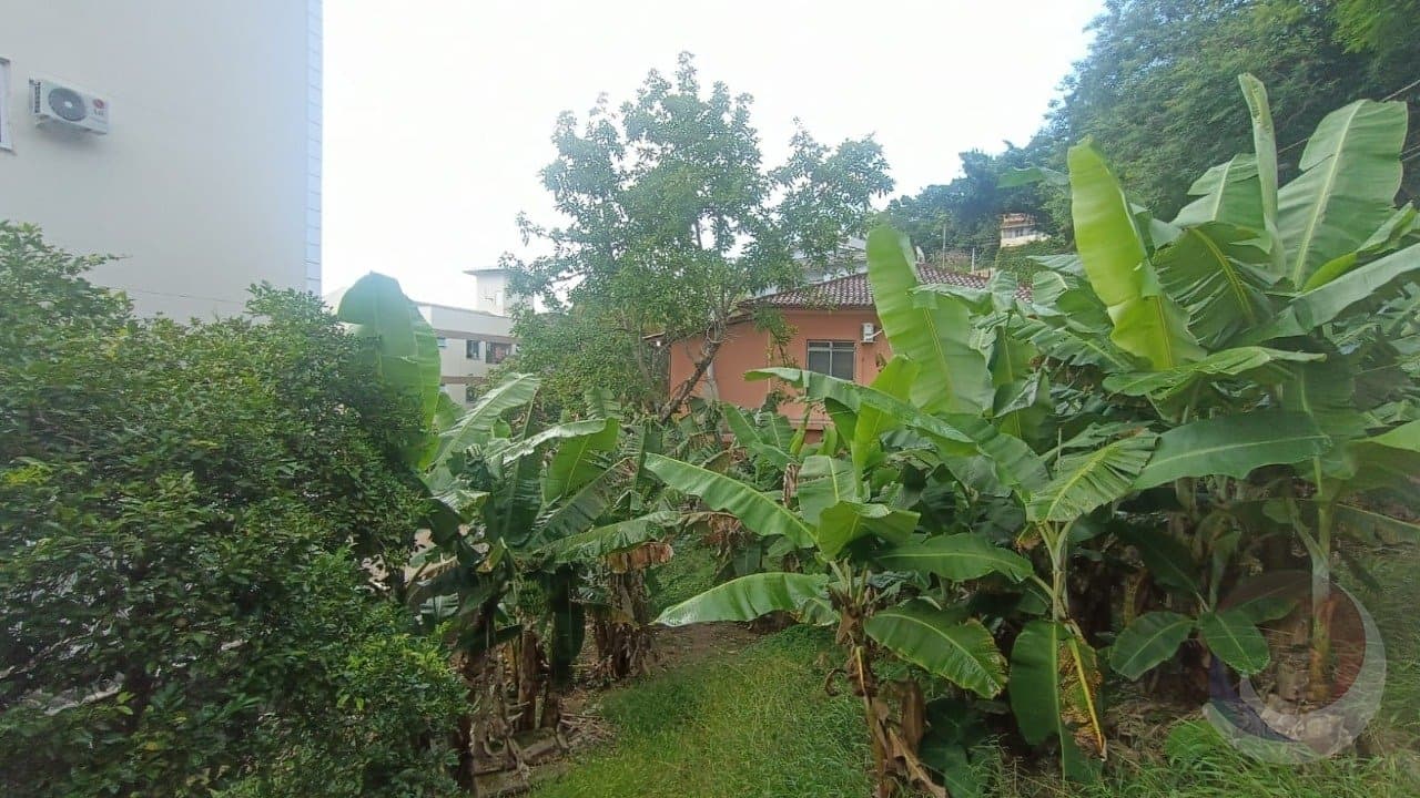 Foto do anúncio número 4