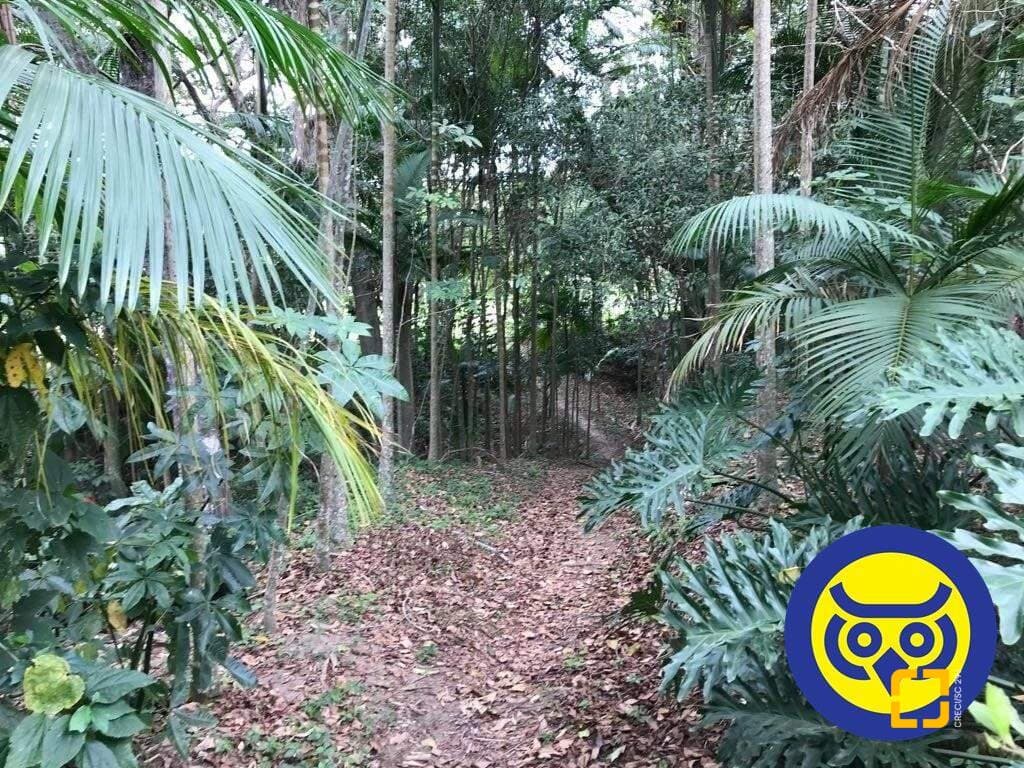 Imagem do anúncio 3
