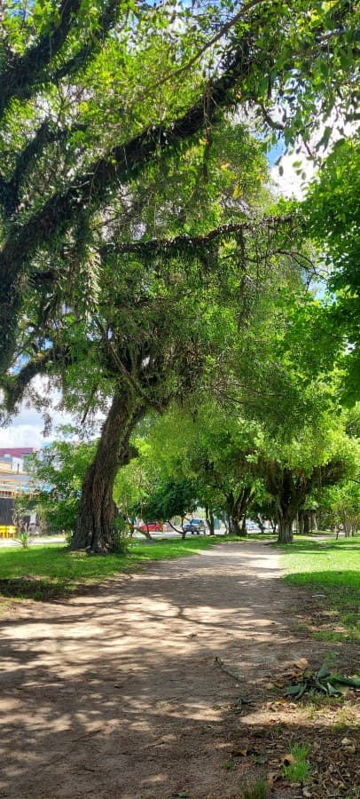 Foto do anúncio número 2