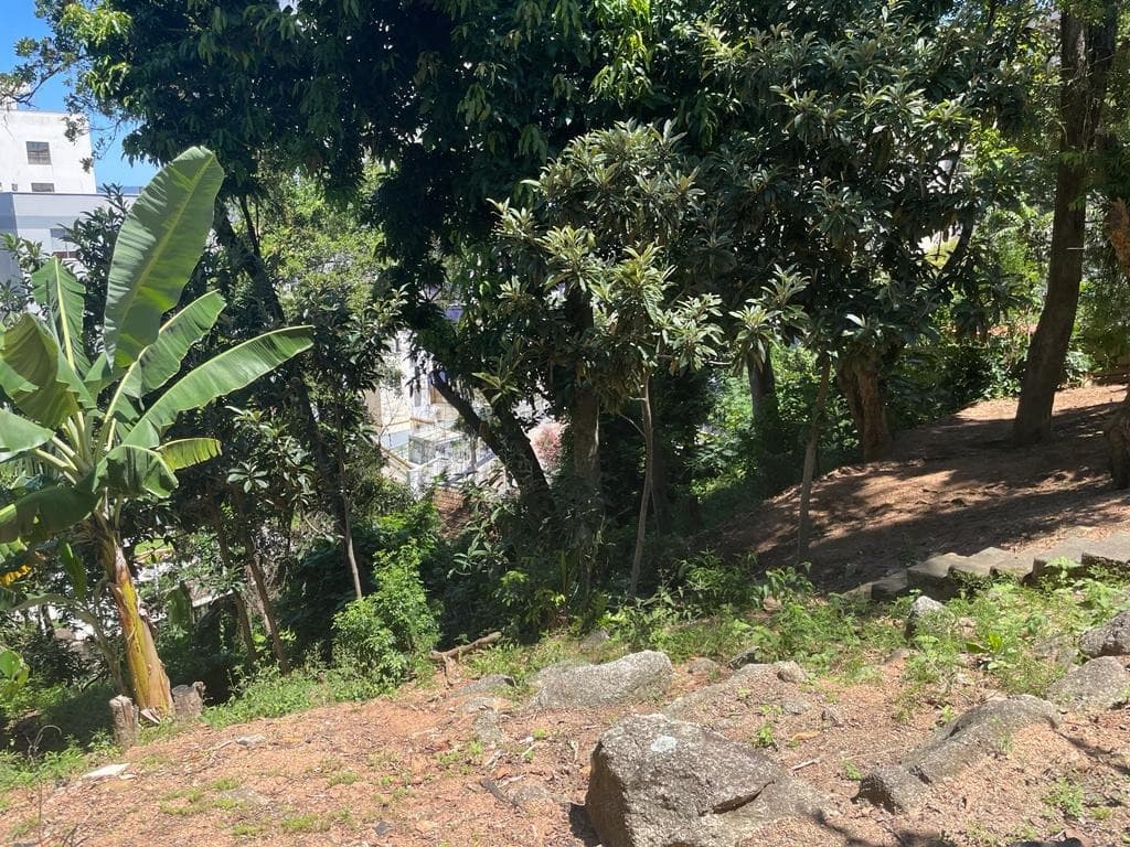 Imagem do anúncio 2