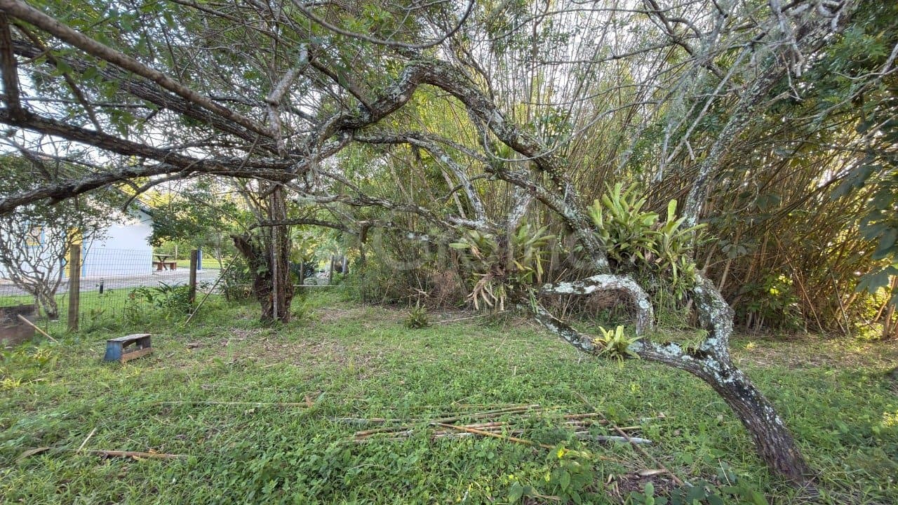 Imagem do anúncio 6