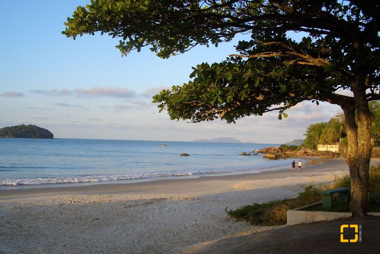 Foto do anúncio número 4