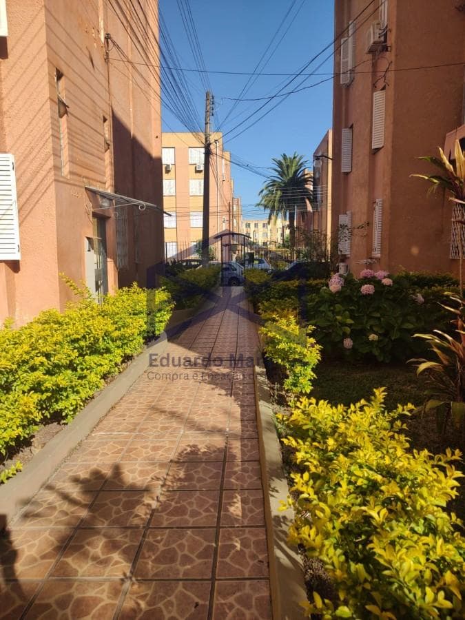 Foto do anúncio número 3