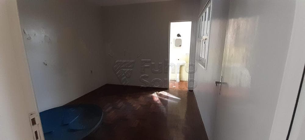v20vp3-quarto.jpg