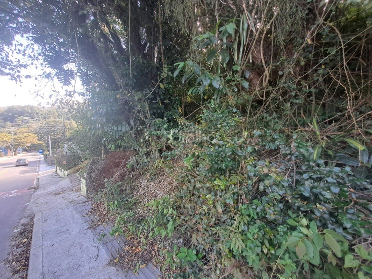 vipshr-i13Mhe_395366894f72d24f3e.jpg