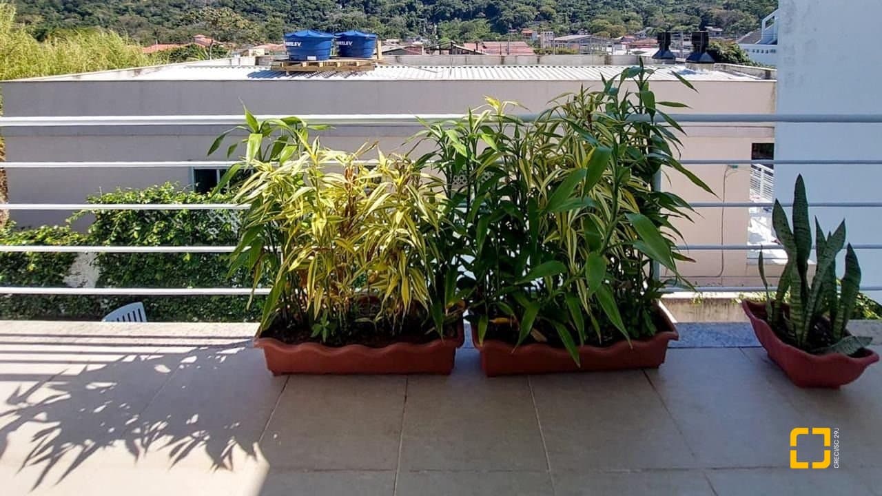 Foto do anúncio número 3