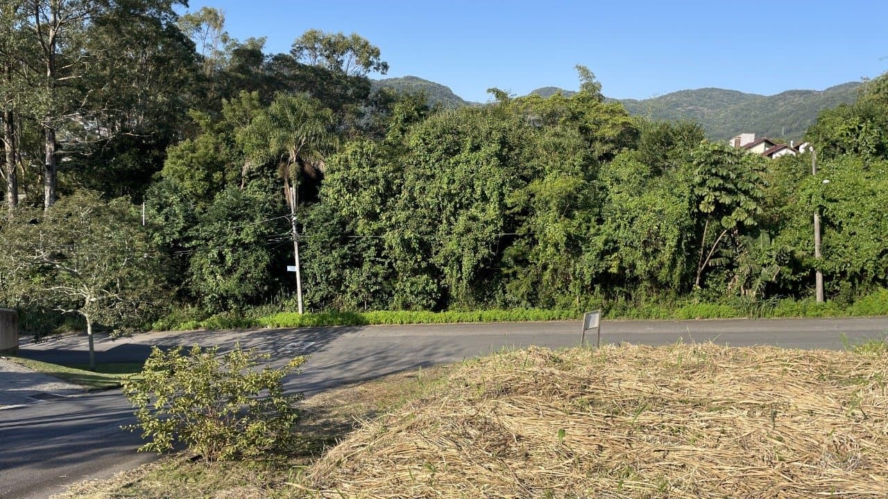 Imagem do anúncio 5