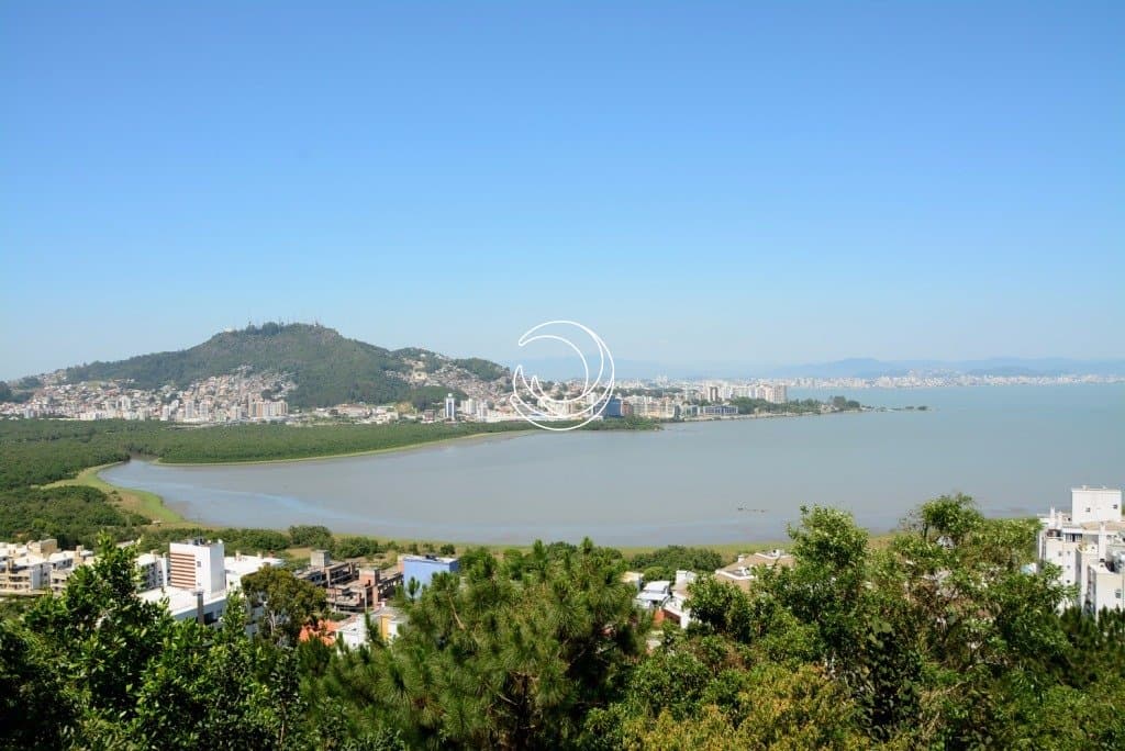 Foto do anúncio número 4